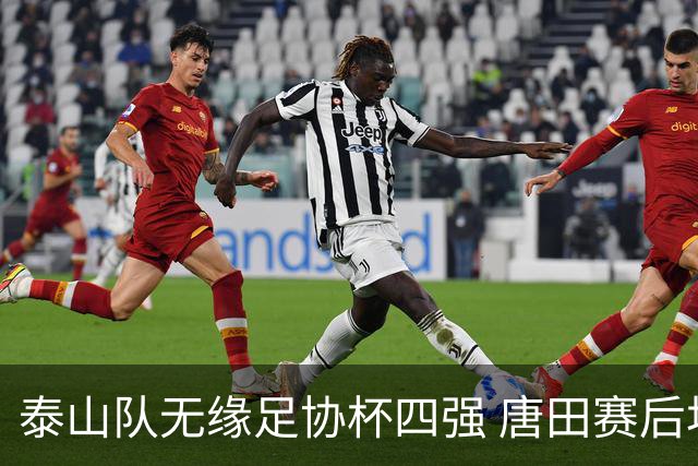 泰山队无缘足协杯四强 唐田赛后坦诚反思差距